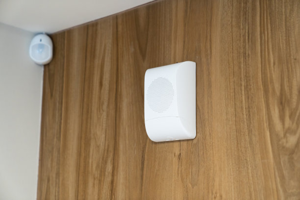 探测器和报警系统。用于通知和广播的语音通知单元图片下载