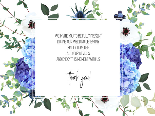 夏季植物病媒设计旗帜。浅蓝色和紫色的绣球花，白色的海葵图片下载