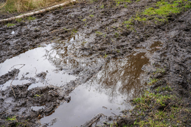 一条泥泞泥泞的小路的特写镜头图片下载