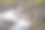 一条泥泞泥泞的小路的特写镜头图片下载