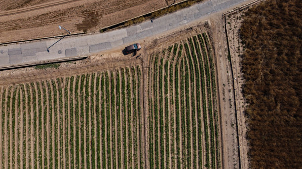 无人机拍摄的农田图片下载