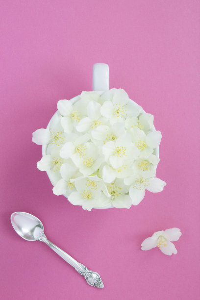 白色杯子上粉红色背景上的茉莉花。前视图。副本的空间。图片下载