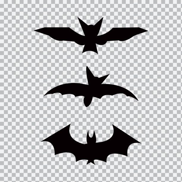万圣节黑蝙蝠剪影图片下载