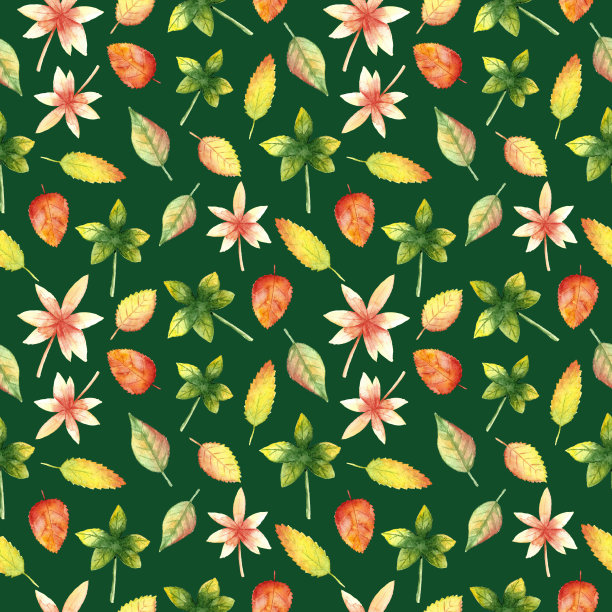 秋叶上的绿色图案图片下载