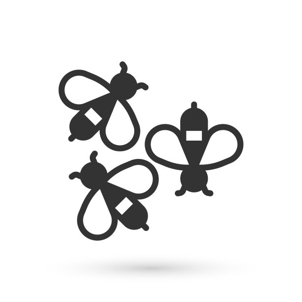 灰蜂图标孤立在白色背景甜图片下载