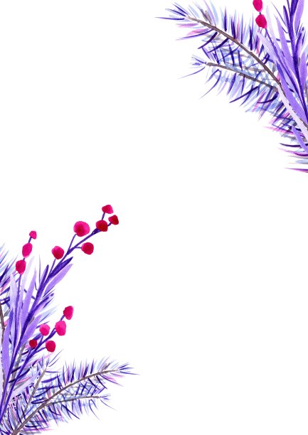 花横幅，圣诞树枝与红色浆果。邀请和贺卡模板。水彩手绘插图，孤立，白色背景，花卉背景图片下载
