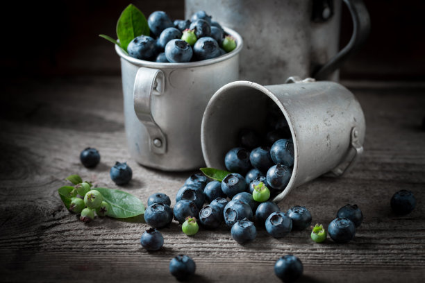 新鲜采摘的甜蓝莓。刚收获的果实。图片下载