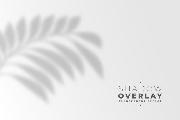 叶阴影覆盖效果背景图片下载