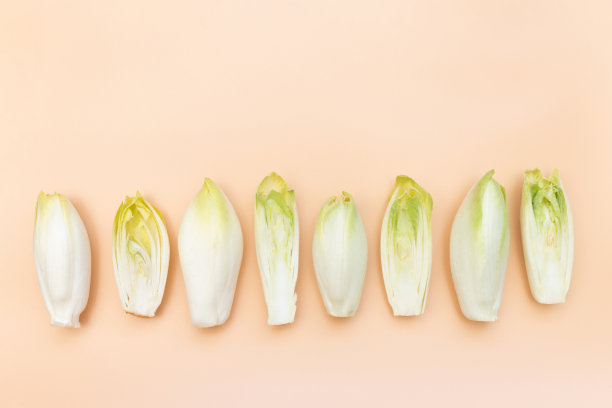 许多生菊苣沙拉根或菊苣在橙色的背景下，平铺图片下载