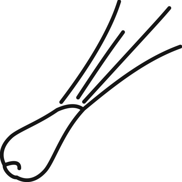 牛至韭菜图标勾勒中国洋葱图片下载