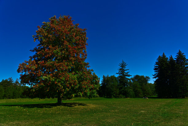 初秋共鸣图片下载