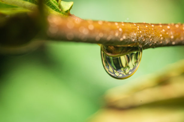 水滴图片下载