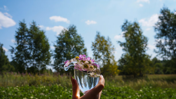 一杯水和野花花瓣在女人的手在自然的背景图片下载