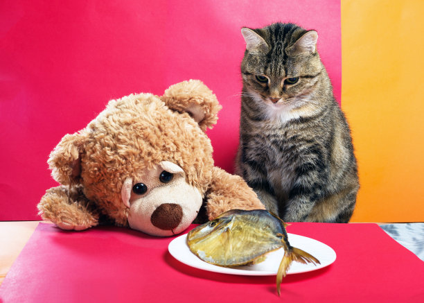 朋友的晚餐图片下载