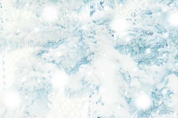 冬季冰雪覆盖的森林。圣诞灯光背景与圣诞树树枝。模糊，失焦图片下载