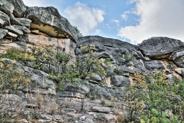 来自维斯塔河图片下载