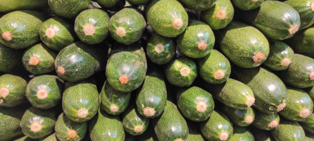 西葫芦背景图片下载