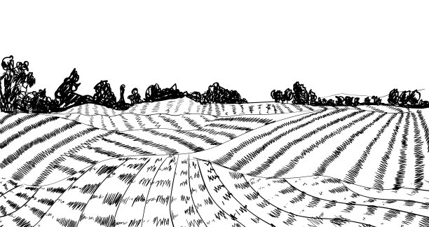 矢量农场农场素描，雕刻风格，黑白背景模板，图纸上的白色背景。图片下载