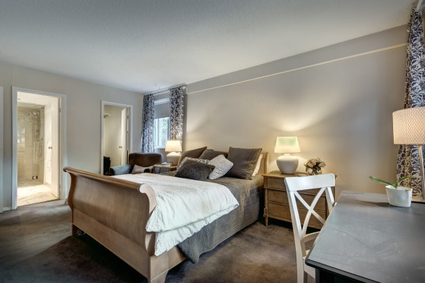 美丽的翻新和漂亮的家具公寓在蒙特利尔，西山，加拿大图片下载