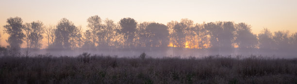 秋天的风景雾笼罩着草地，冉冉升起的太阳隐藏在树木的轮廓后面图片下载