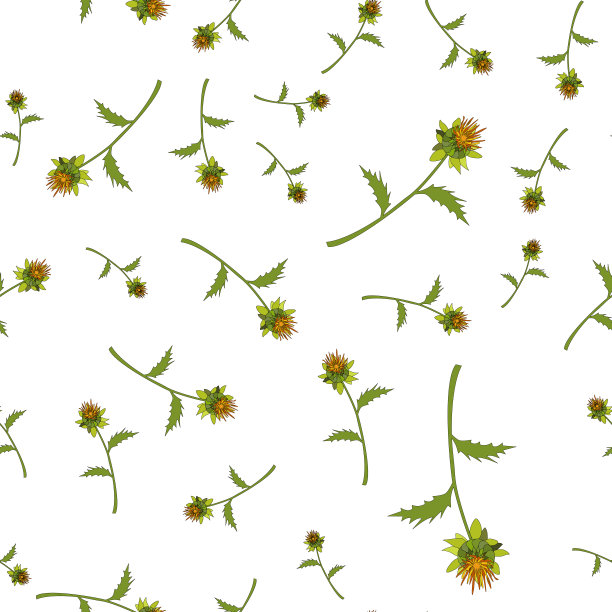 无缝模式。红花，一种油料植物。白色背景上的彩色插图。手绘植物矢量插图。包装纸和织物的设计图片下载