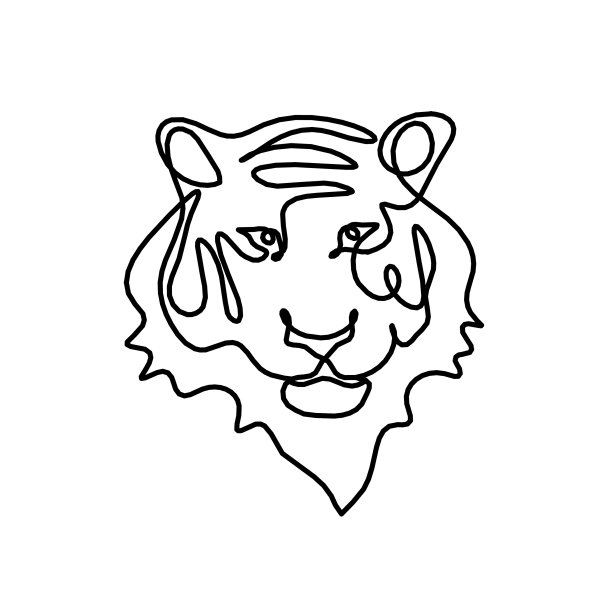 抽象的老虎剪影作为线条在白色上绘制图片下载