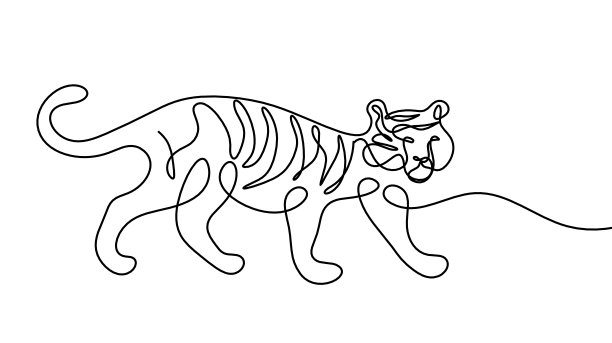抽象的老虎剪影作为线条在白色上绘制图片下载