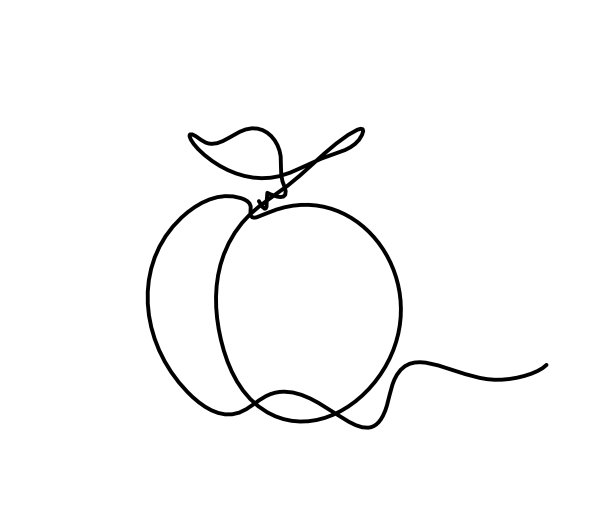 在白色的背景上画杏子(桃子，油桃，李子)在白色的背景上画苹果图片下载