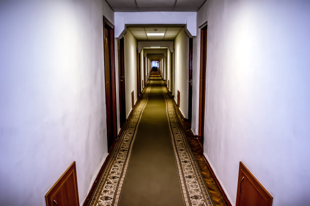 光线充足的长廊，有许多门，铺着地毯图片下载