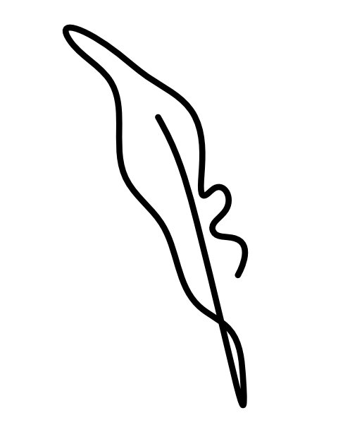 抽象羽毛的轮廓线在白色上绘制图片下载