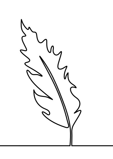 抽象羽毛的轮廓线在白色上绘制图片下载