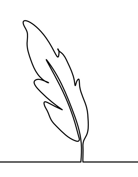 抽象羽毛的轮廓线在白色上绘制图片下载