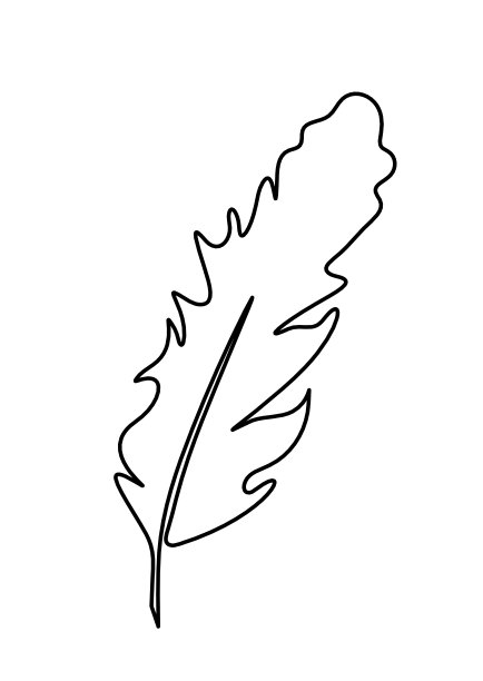 抽象羽毛的轮廓线在白色上绘制图片下载