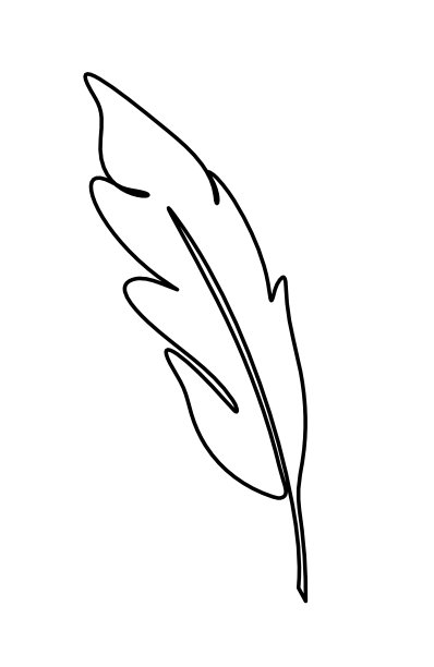 抽象羽毛的轮廓线在白色上绘制图片下载