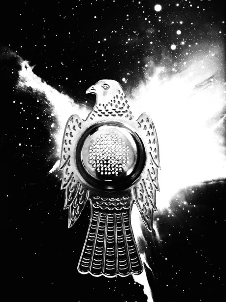 灰色的滤茶器图片下载