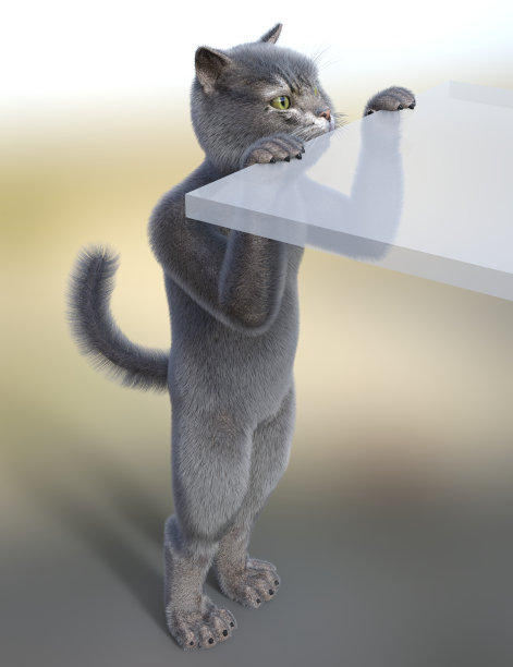 猫靠在半透明的桌子上图片下载