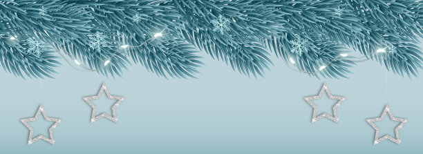 美丽优雅的霜冻圣诞树树枝与金属星星，雪花和花环灯。文本。插图贺卡，邀请，传单，旗帜或墙纸图片下载