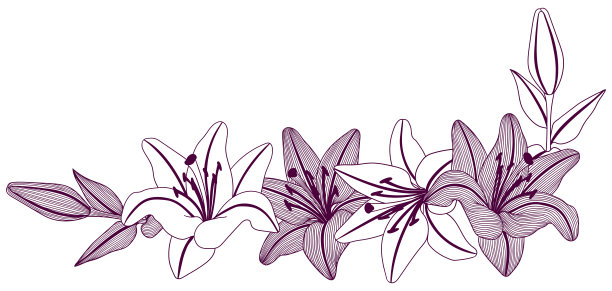 框架与风格化百合花。装饰形象美丽的花蕾。图片下载