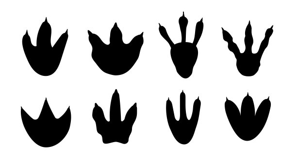 恐龙足迹足迹爪子异特龙背景设定。恐龙卡通恐龙脚图片下载