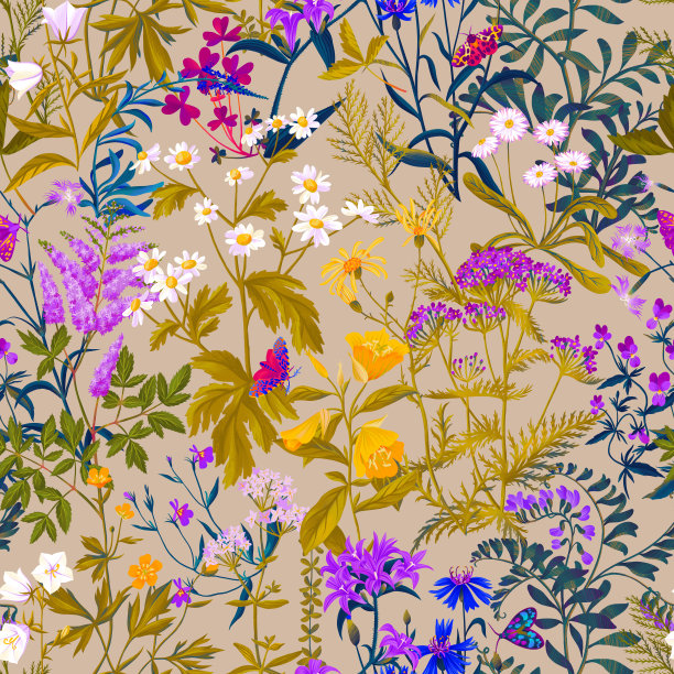 夏季的主题混合了草地和花园的花朵。矢车菊，雏菊，钟形花，洋甘菊，杂草。植物无缝模式。乡村的波西米亚风格。图片下载
