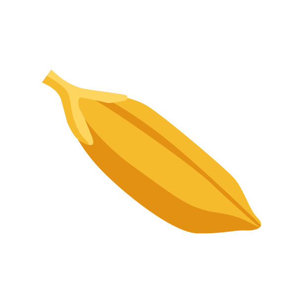 水稻全稻谷谷物矢量插图孤立在白色背景图片下载