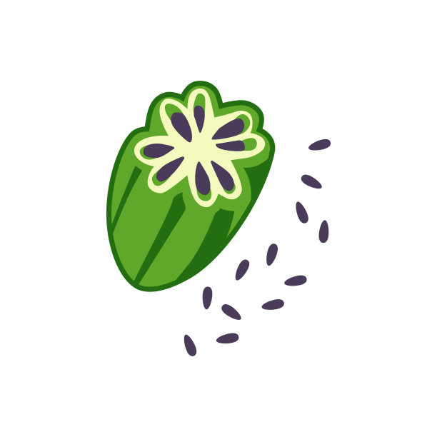 芝麻也被称为Gingelly一半与种子矢量插图孤立在白色背景图片下载