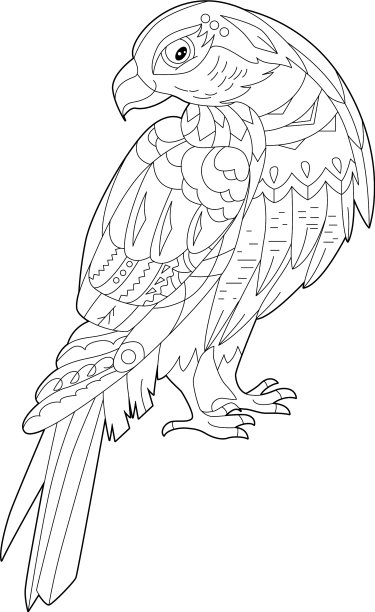 轮廓线适用于涂色书用装饰图片下载