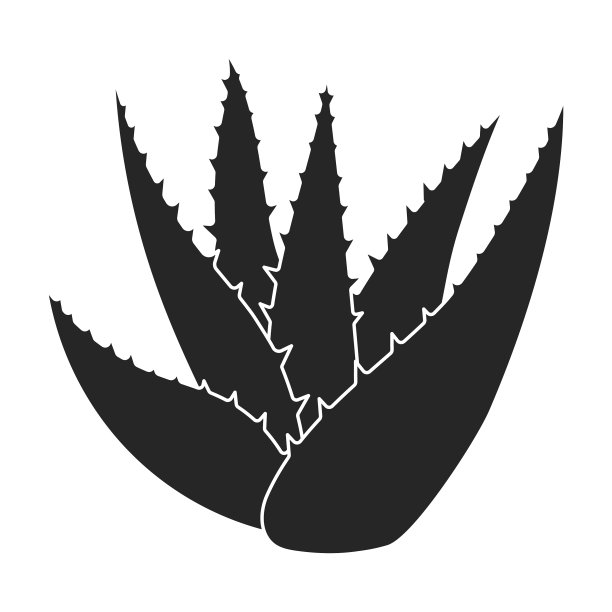 芦荟图标黑色图标孤立图片下载