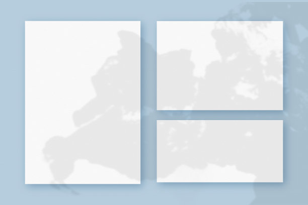 模型与植物阴影叠加在3水平和垂直的纹理白纸在蓝色的桌子背景图片下载