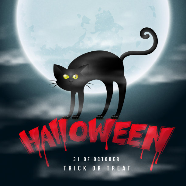 万圣节快乐女巫黑猫和满月夜的背景图片下载
