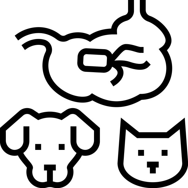 犬猫沙门氏菌病线性图标图片下载