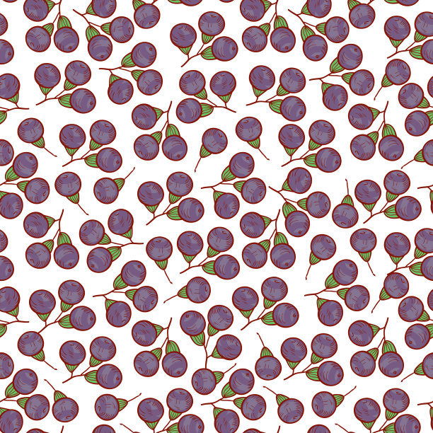 樟脑浆果壁纸无缝上白色图片下载