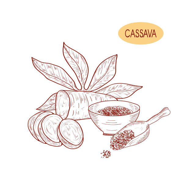 木薯块茎叶淀粉碗勺图片下载