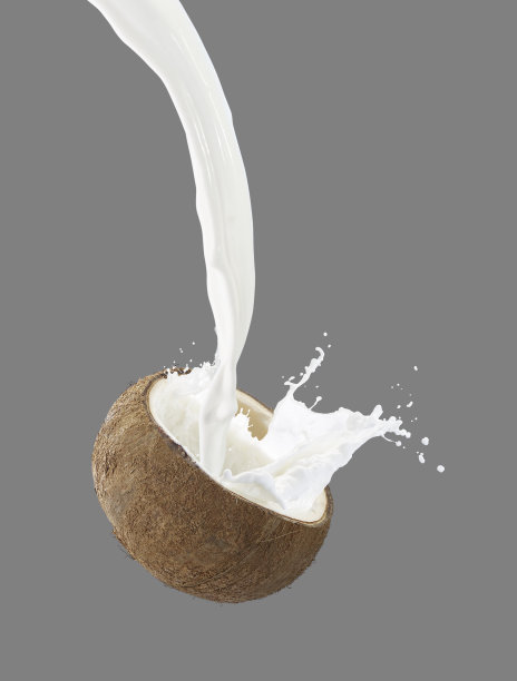 椰子冰淇淋和牛奶图片下载